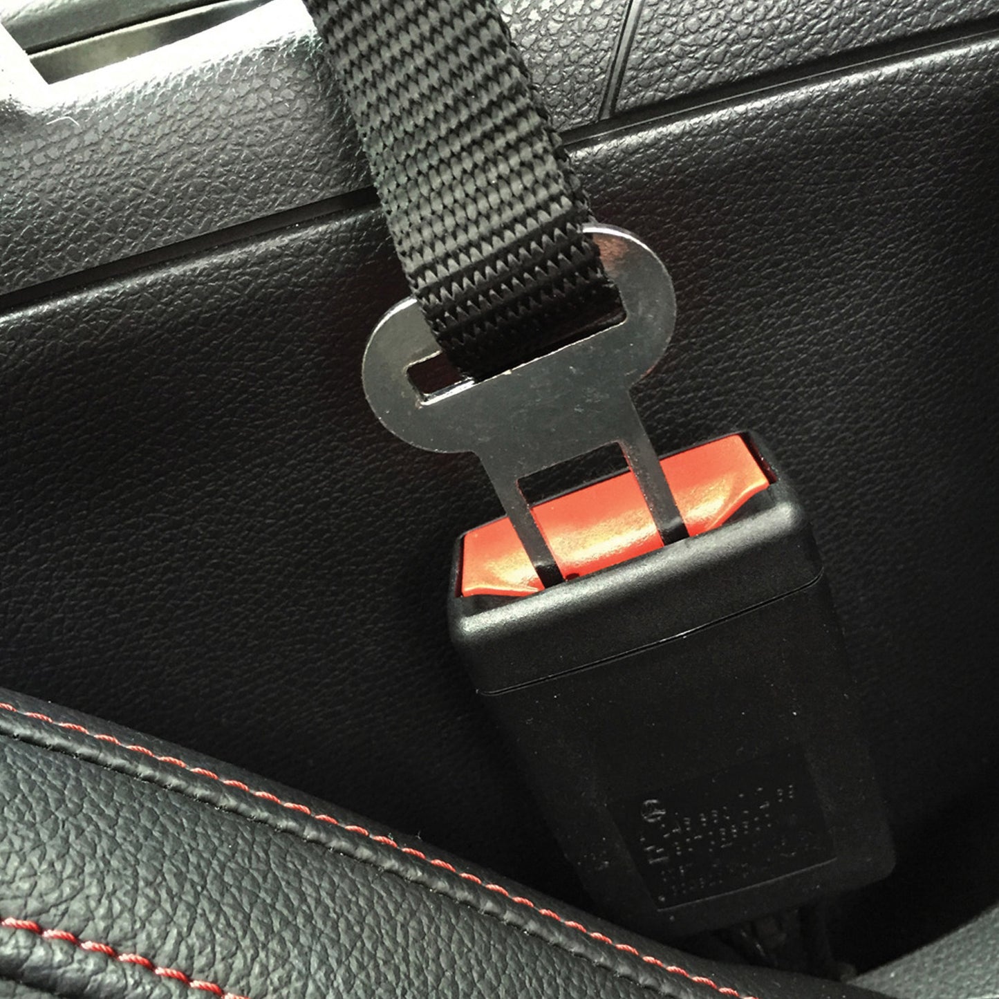 dog seat belt clicking into seat belt, travel accessories