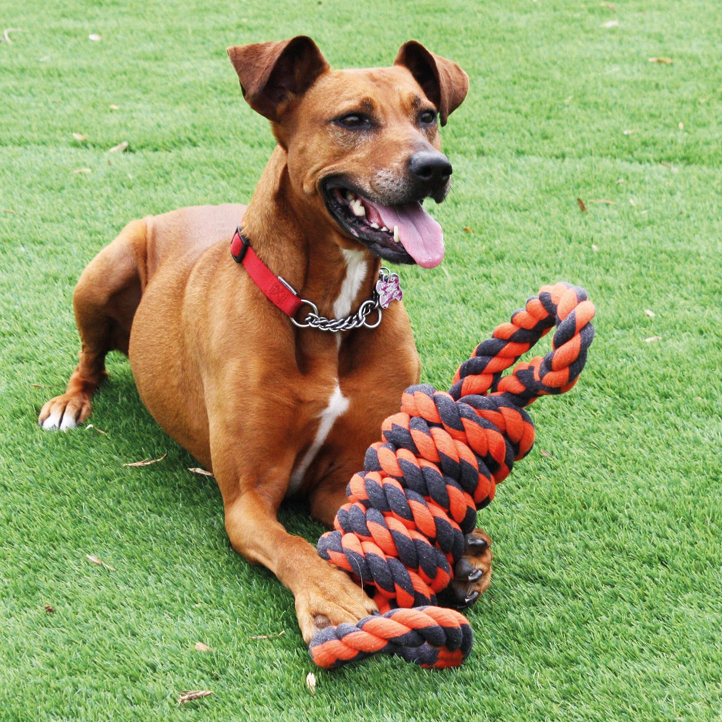 giant tough rope toy for large dogs