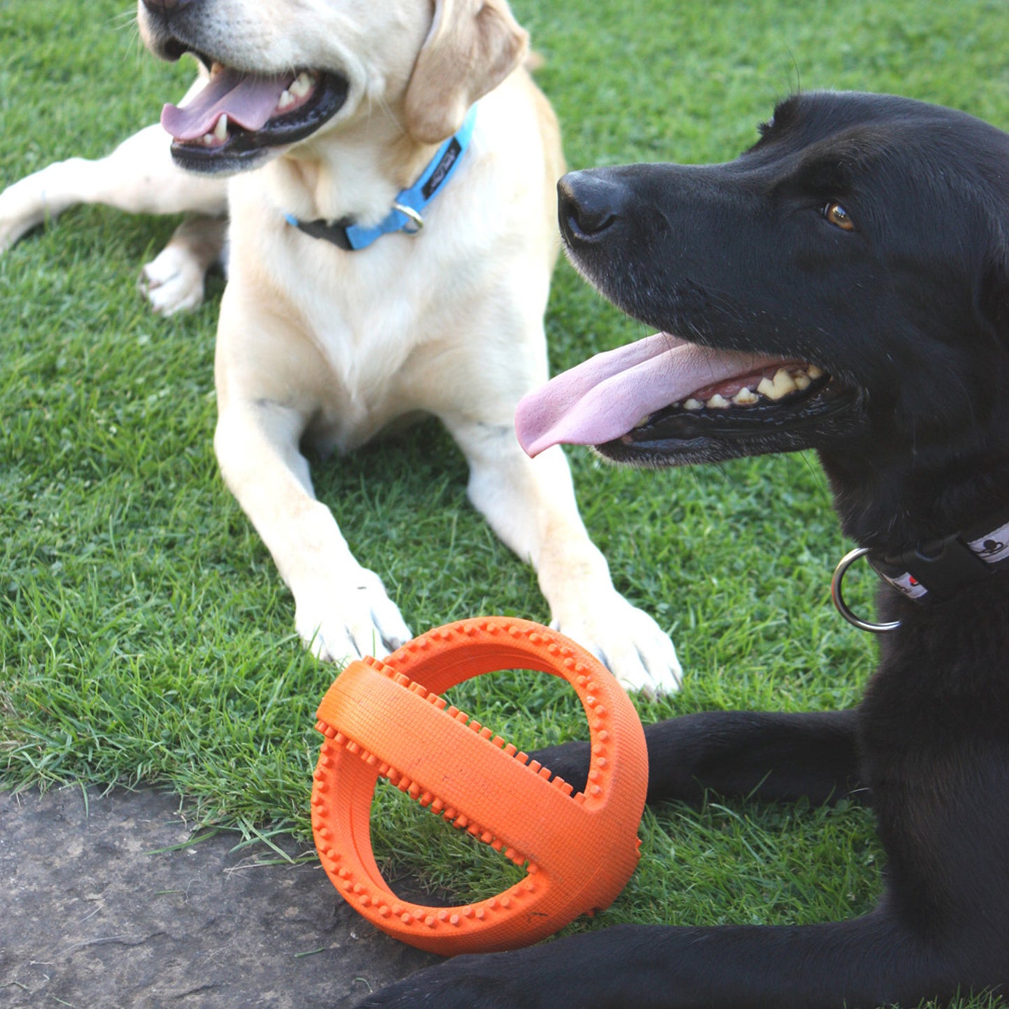 Grubber Tough Football Dog Toy