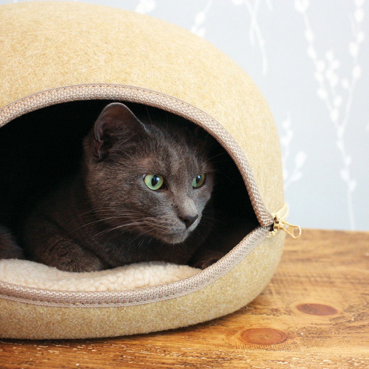 cat with green eyes in a cat oslo pod bedding