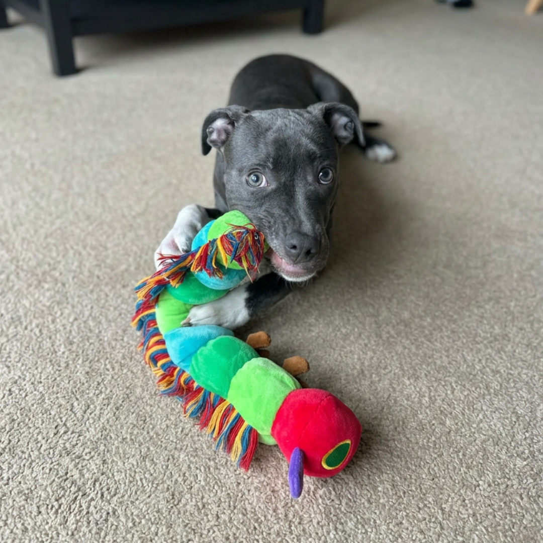 The Very Hungry Caterpillar™ Plush
