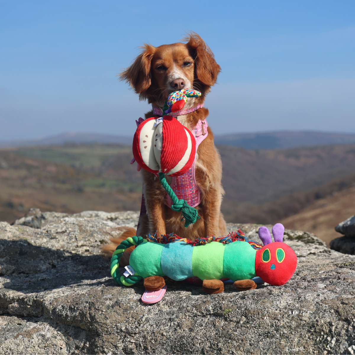 The Very Hungry Caterpillar™ Apple Rope Tug