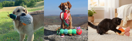 25 Best Pet Toys and Products to Make Every Day a Little Happier