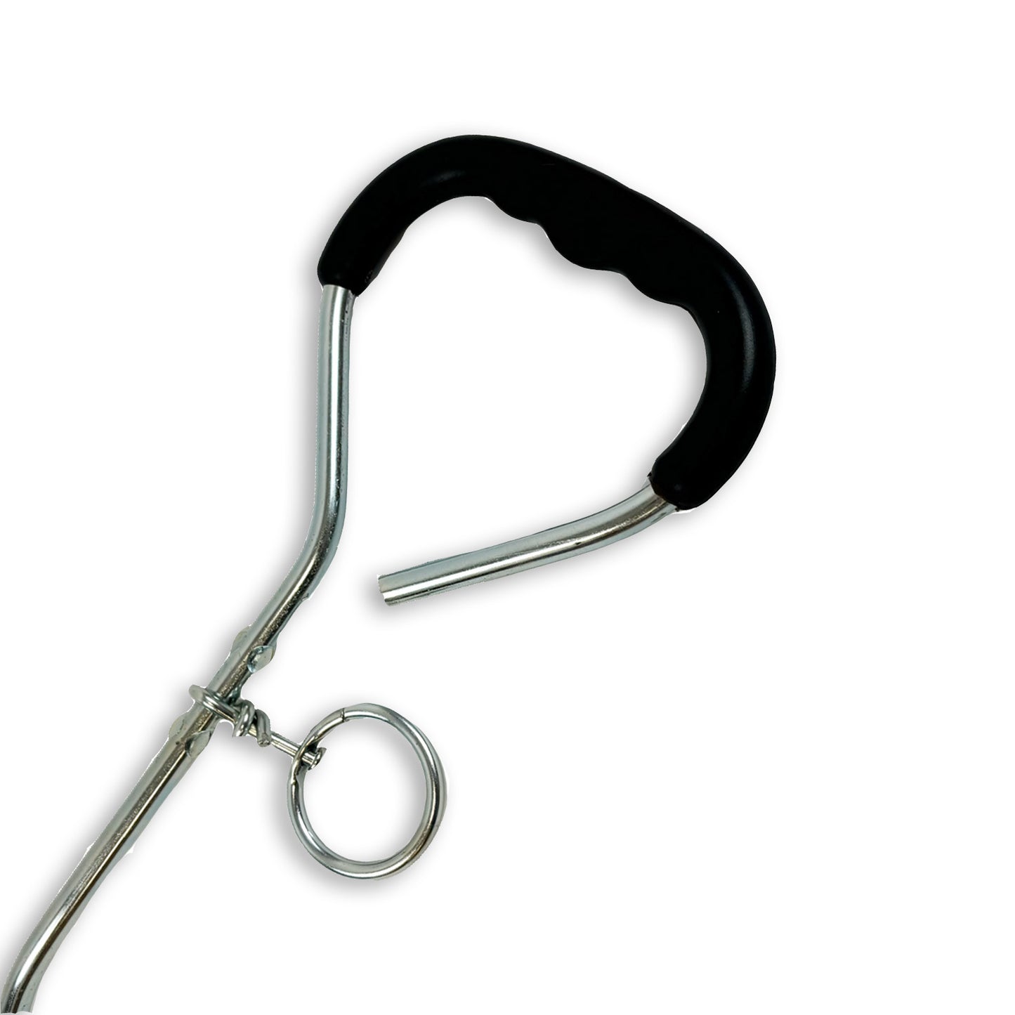 handle of a tie out stake dog travel equipment
