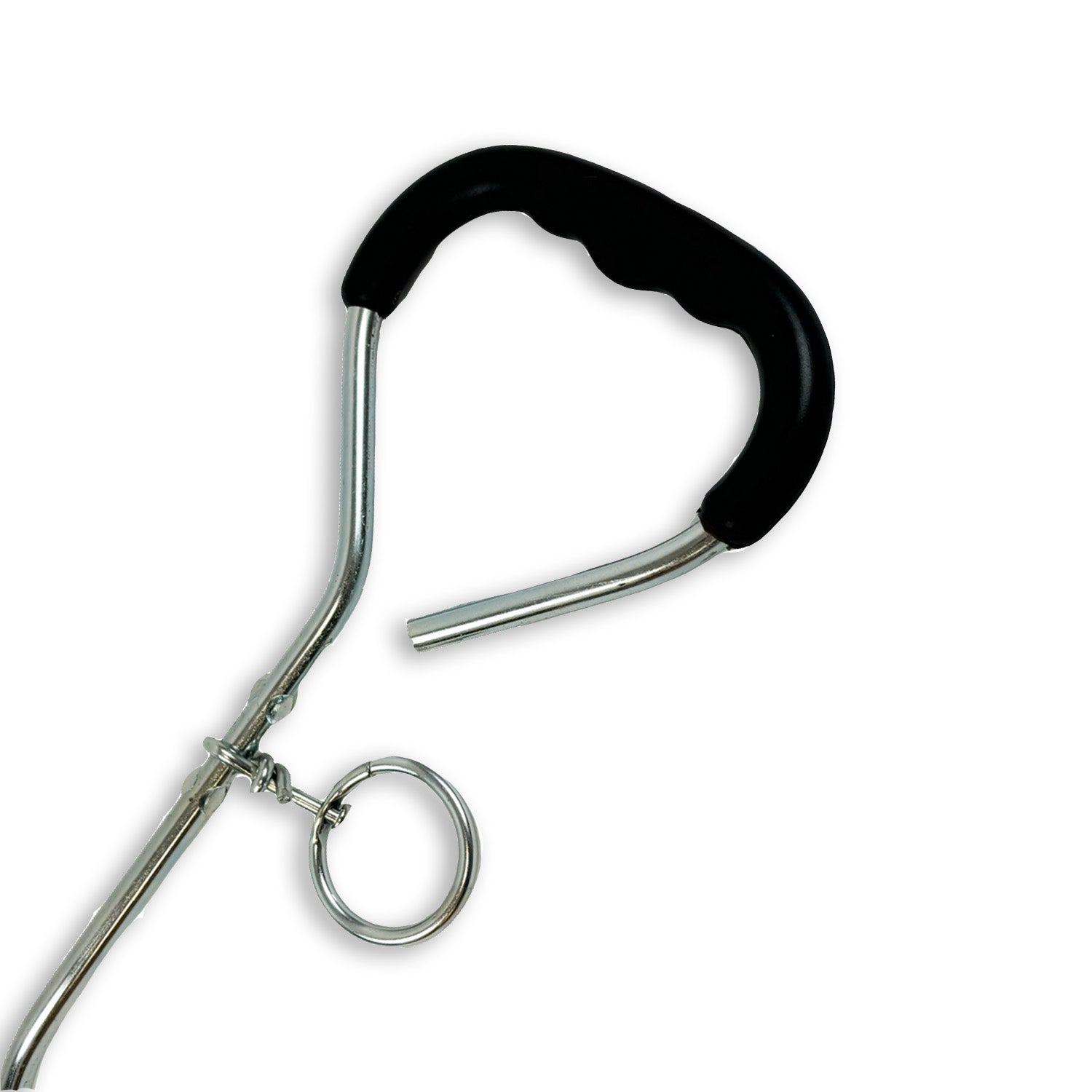 handle of a tie out stake dog travel equipment