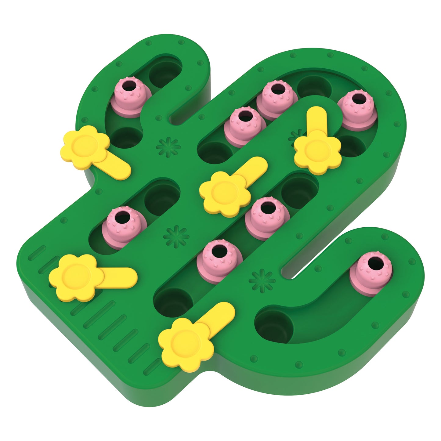 Cactus Puzzle Feeder