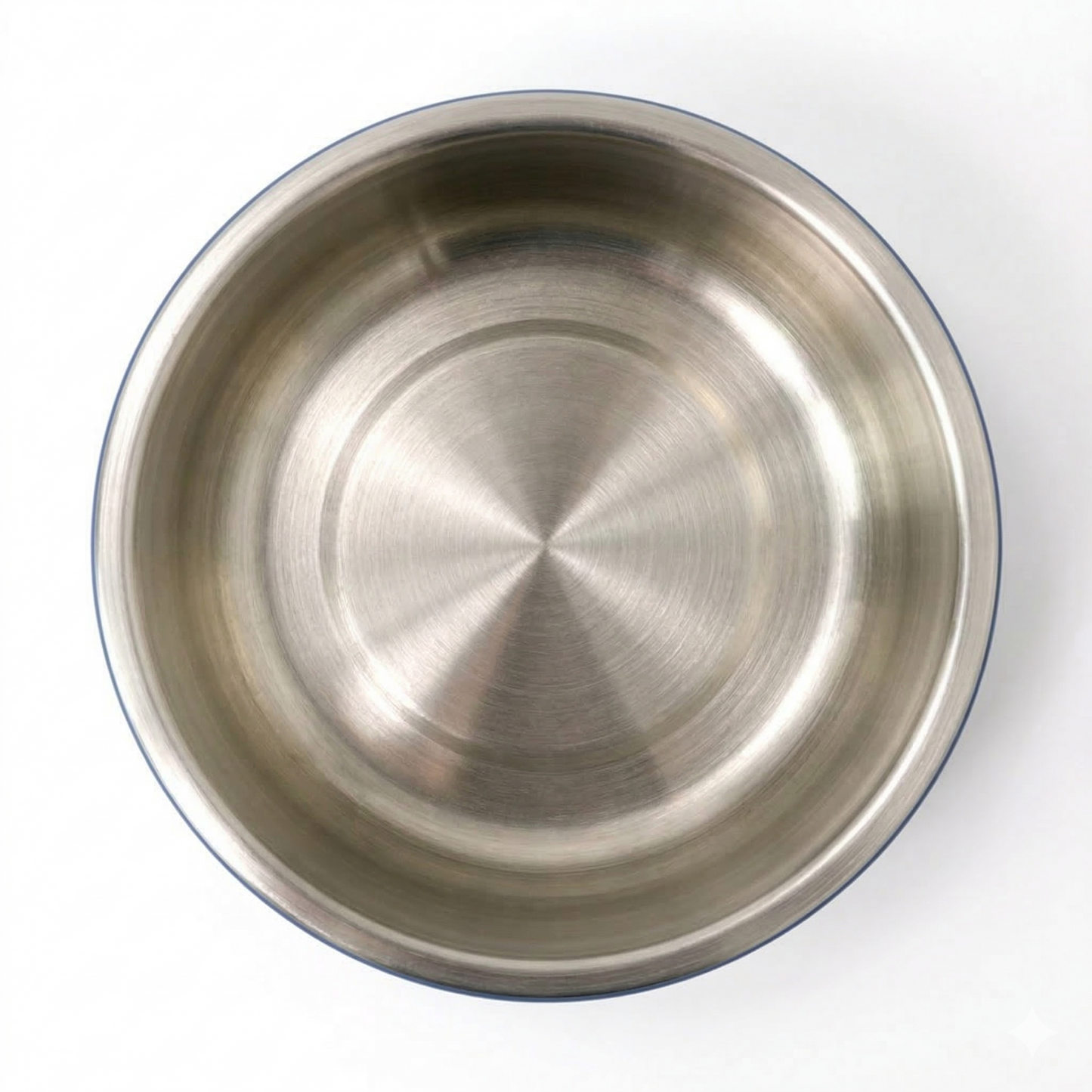 Double Walled Stainless Steel Pet Bowl