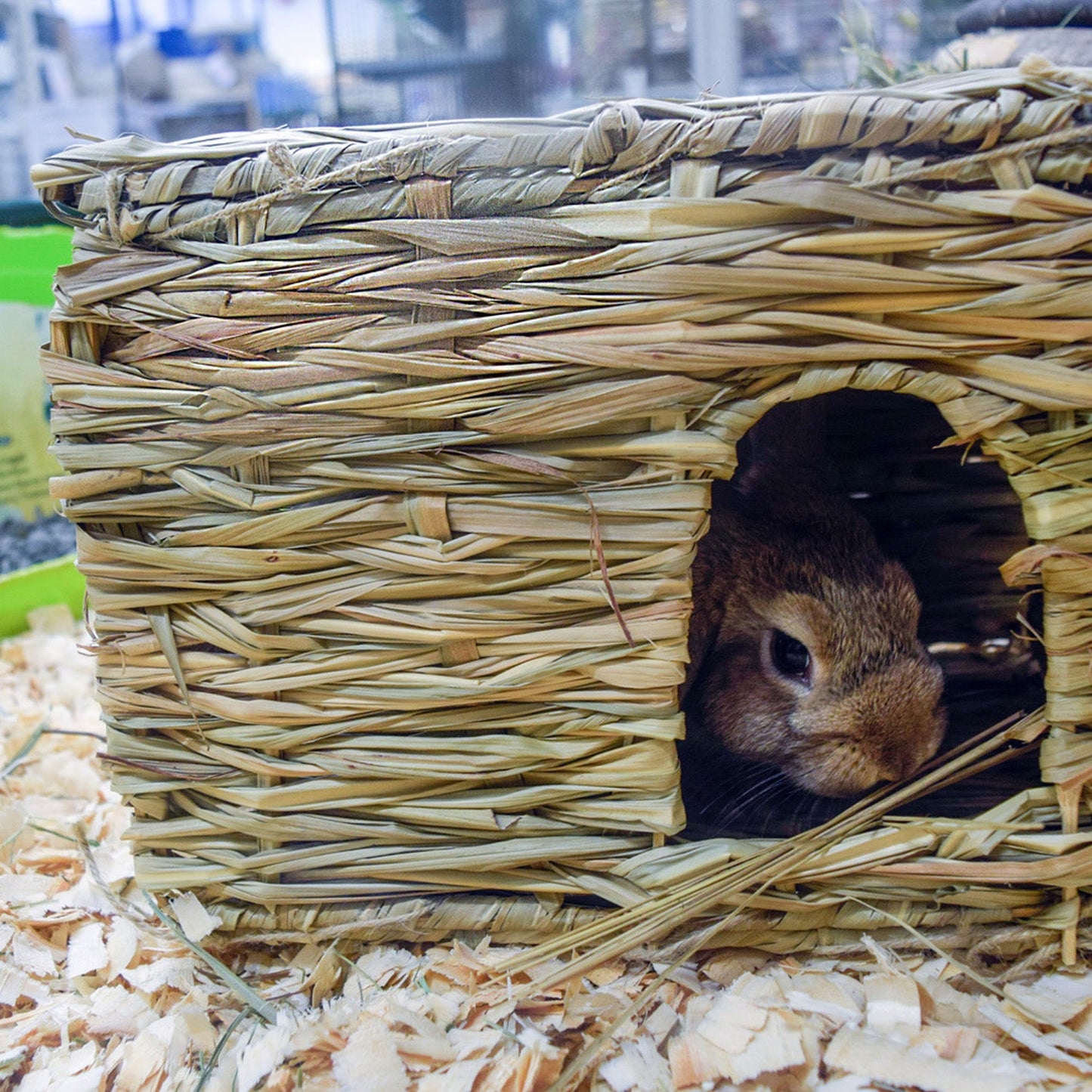 small animal natural grassy hideaway with rabbit