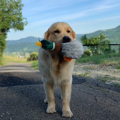 Migrator Mallard Soft Dog Toy