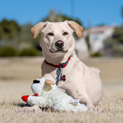 Lamb Chop® Dog Toy Medium