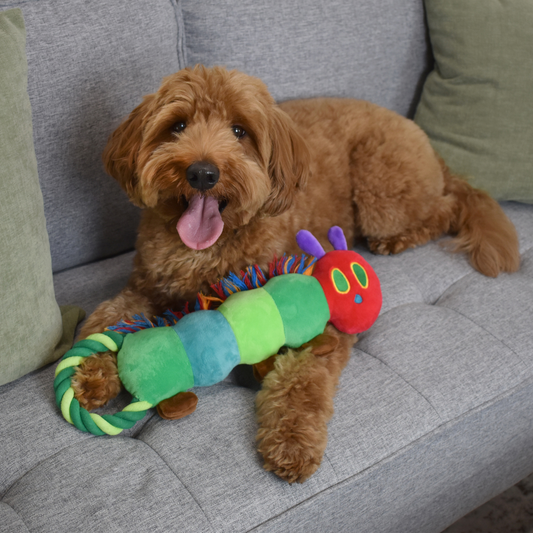The Very Hungry Caterpillar™ Rope Tug