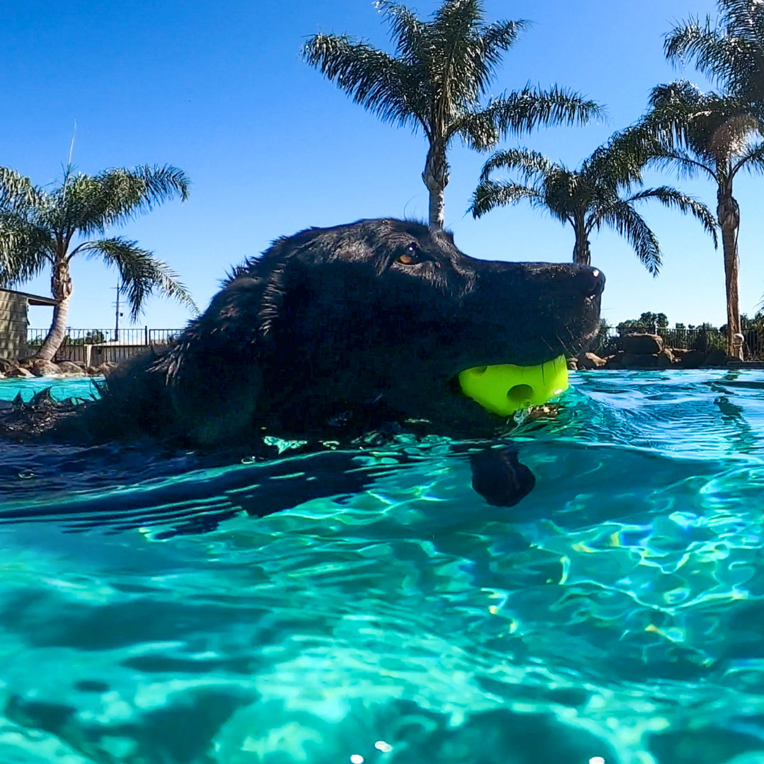 Breeze® Ball