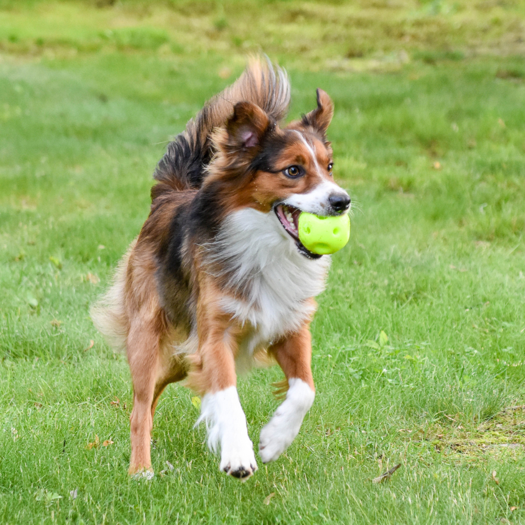 Breeze® Ball