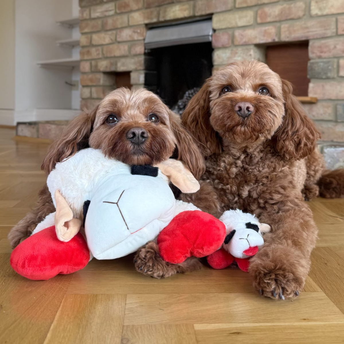 Lamb Chop® Dog Toy Large