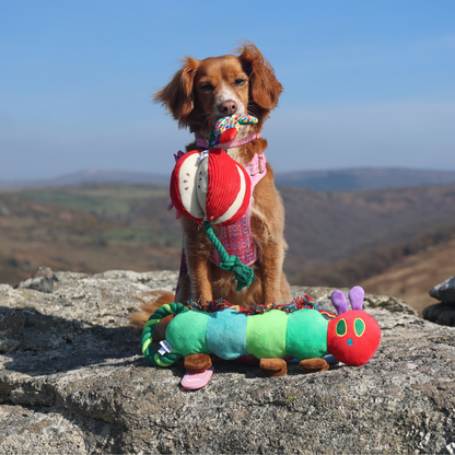The Very Hungry Caterpillar™ Apple Rope Tug