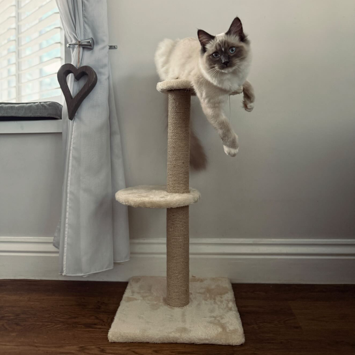 Westwood Cat Scratch Post