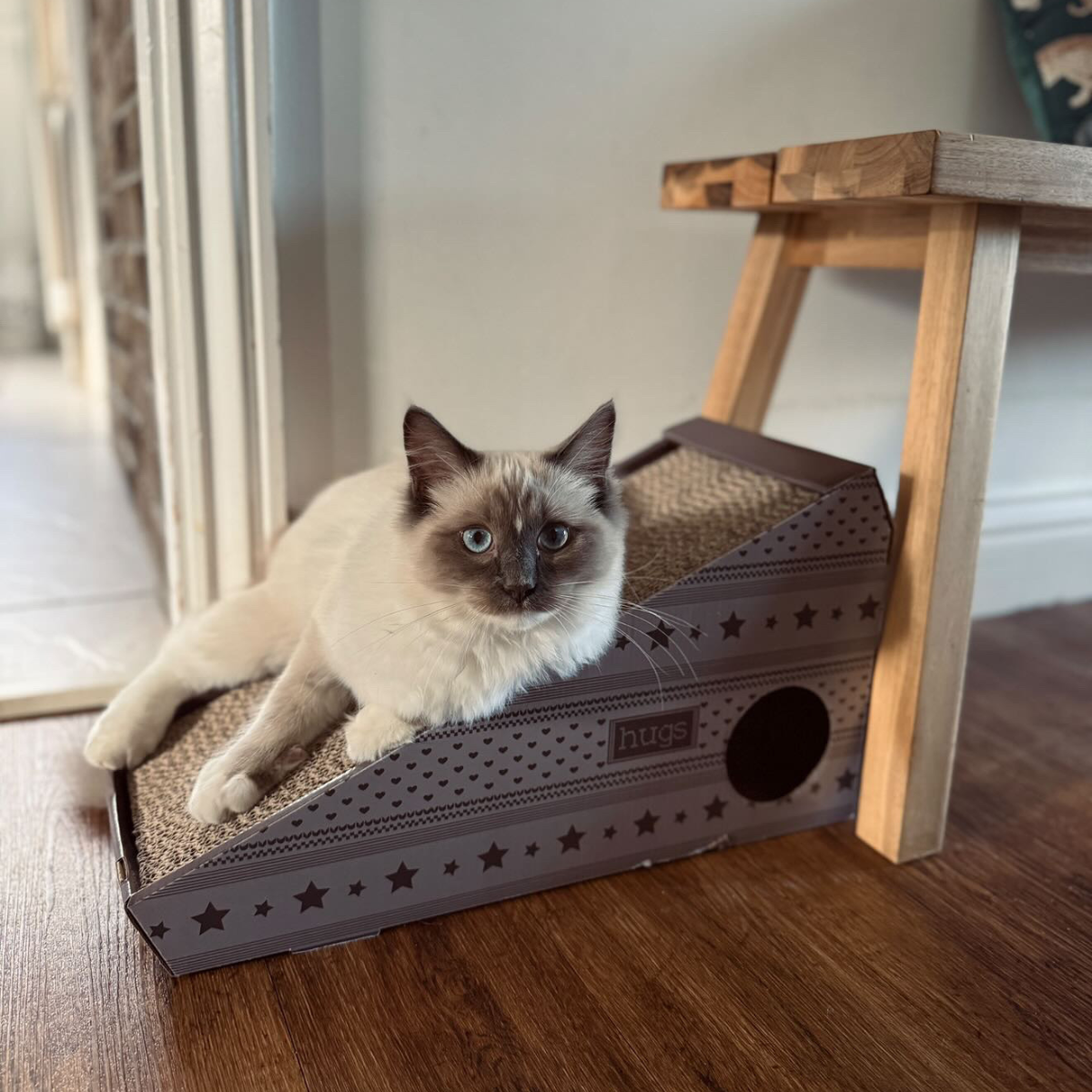 Ramp Cardboard Cat Scratcher