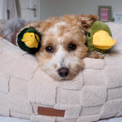 Checkra Round Pet Bed