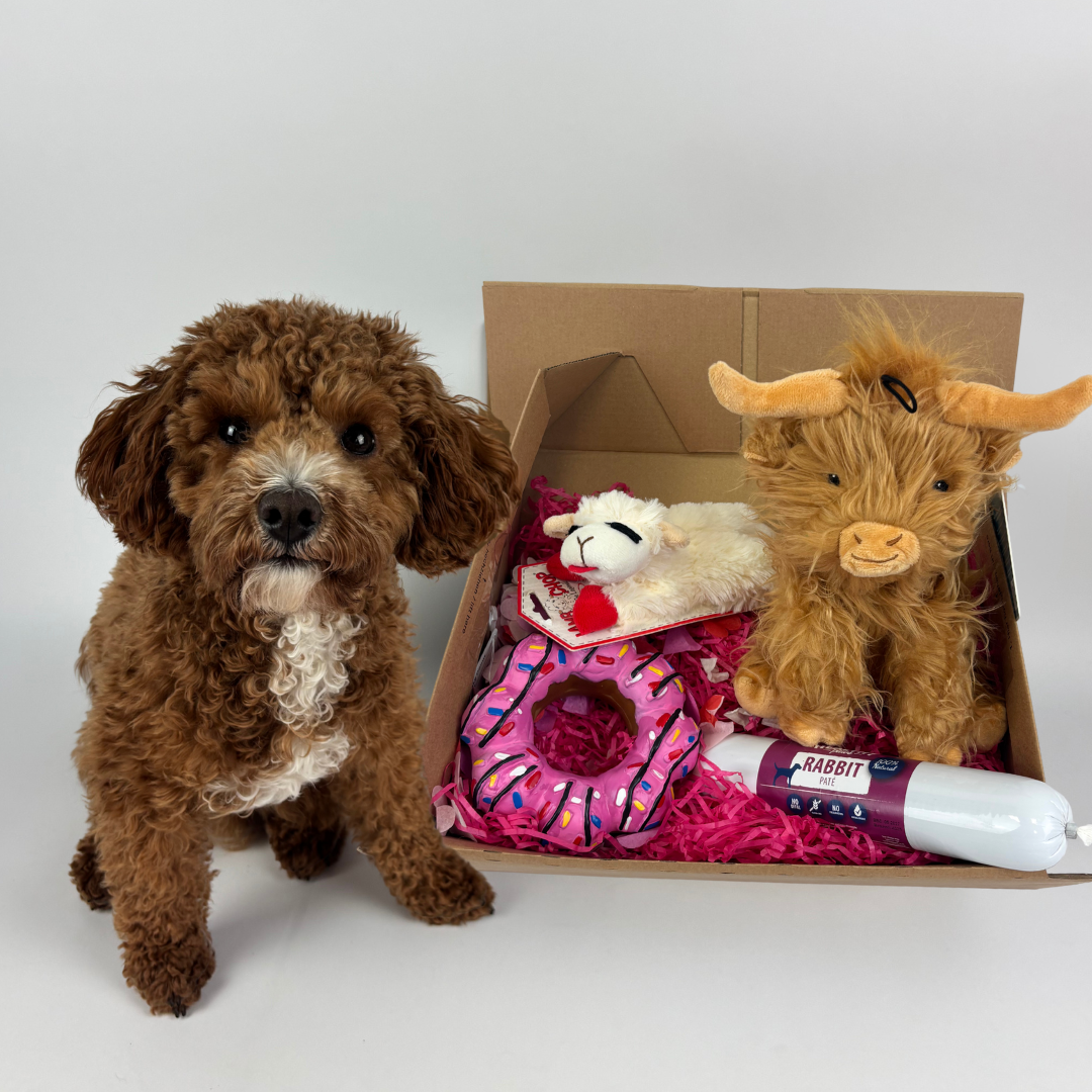 Limited Edition Love Box | Toy Bundle for Dogs – Happy Pet Products Limited