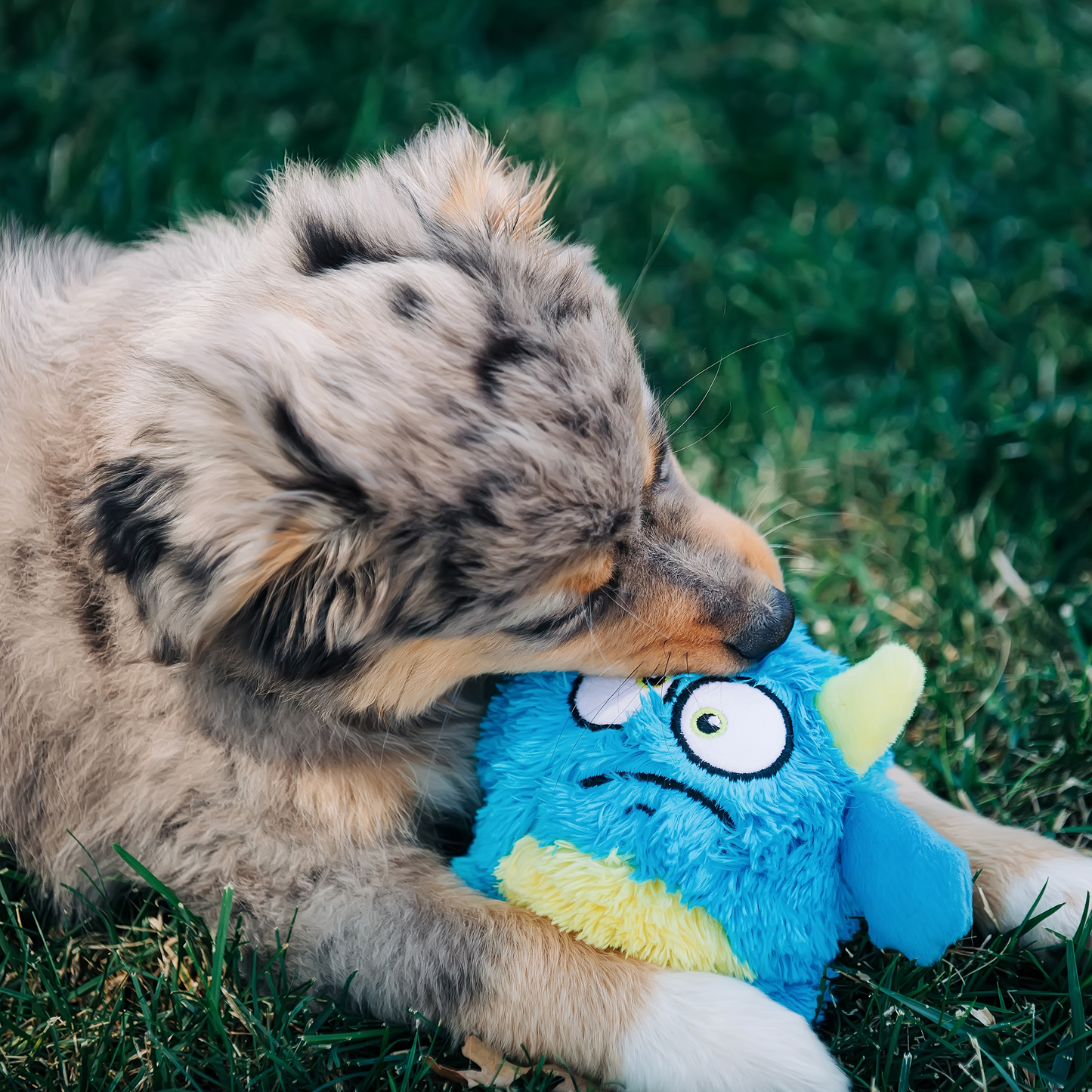 Oggles Dog Toy