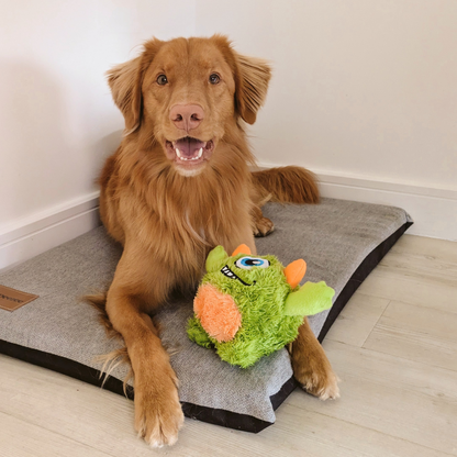 Oggles Dog Toy