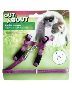 Rabbit Harness & Lead Set - Purple