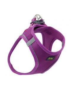 Go Walk Harness Purple XS-XL